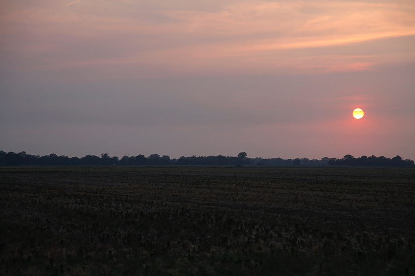 Sunset over the Delta near Clarksdale, Mississippi    Photograph submitted by Greg McWilliams